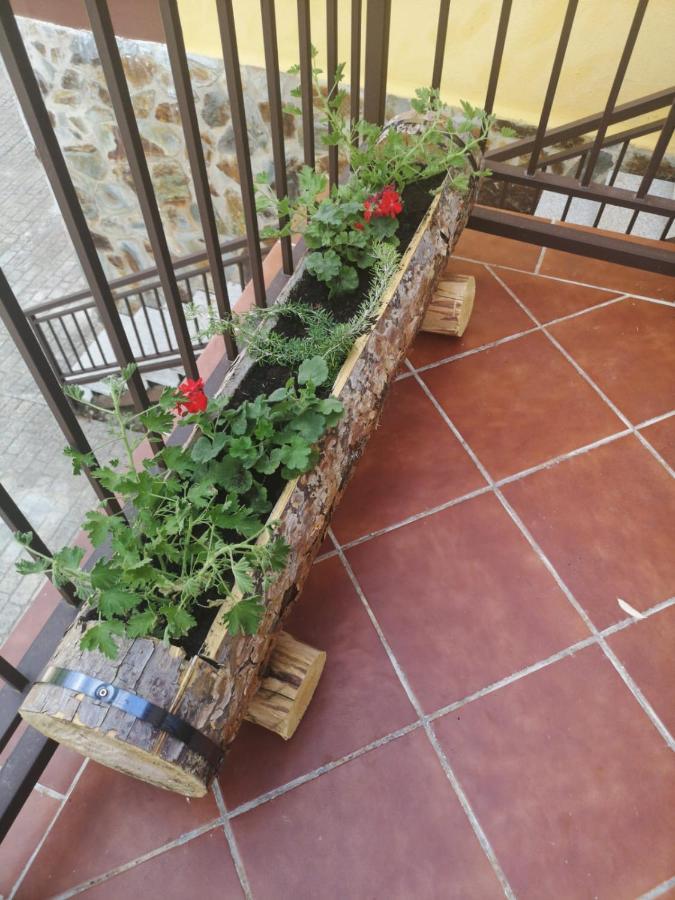 Alojamiento Rural Los Gancheros Tragacete Exteriér fotografie
