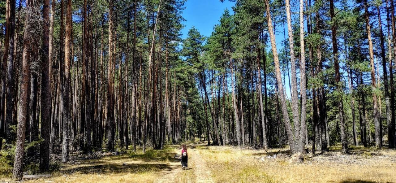 Alojamiento Rural Los Gancheros Tragacete Exteriér fotografie