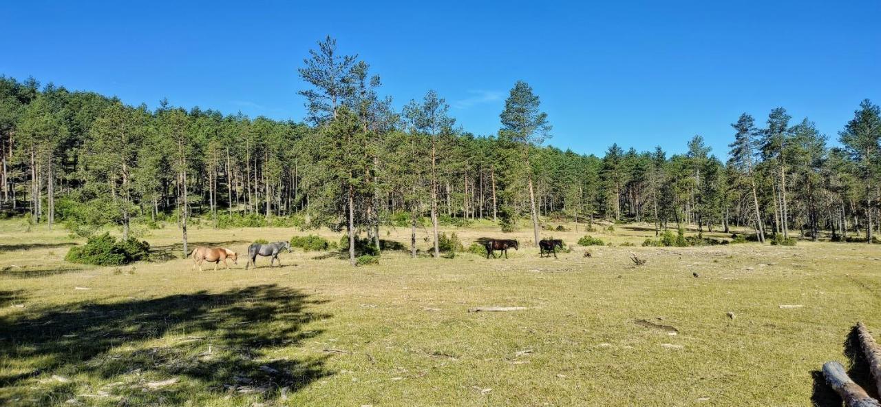 Alojamiento Rural Los Gancheros Tragacete Exteriér fotografie