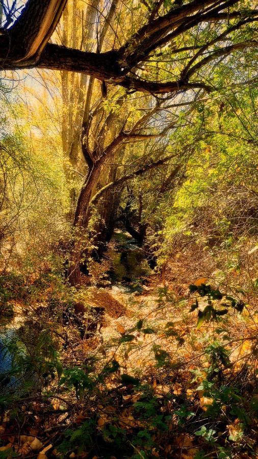 Alojamiento Rural Los Gancheros Tragacete Exteriér fotografie