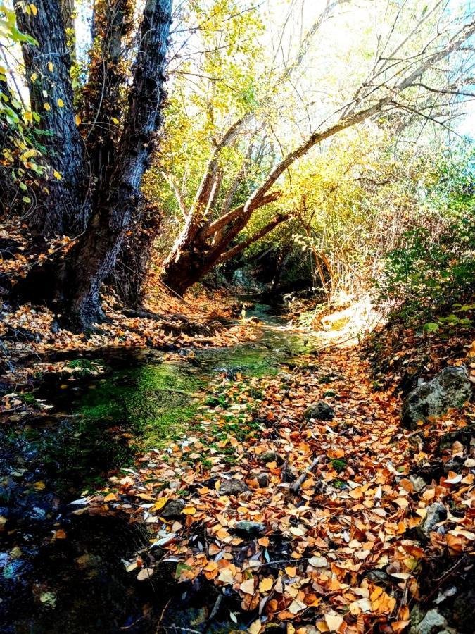Alojamiento Rural Los Gancheros Tragacete Exteriér fotografie