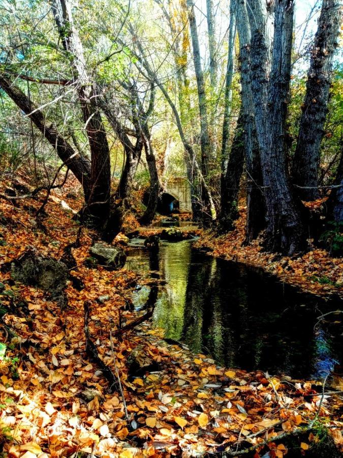Alojamiento Rural Los Gancheros Tragacete Exteriér fotografie