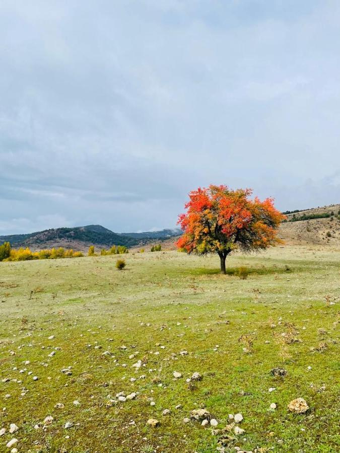 Alojamiento Rural Los Gancheros Tragacete Exteriér fotografie
