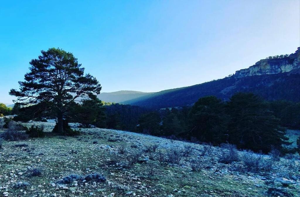 Alojamiento Rural Los Gancheros Tragacete Exteriér fotografie