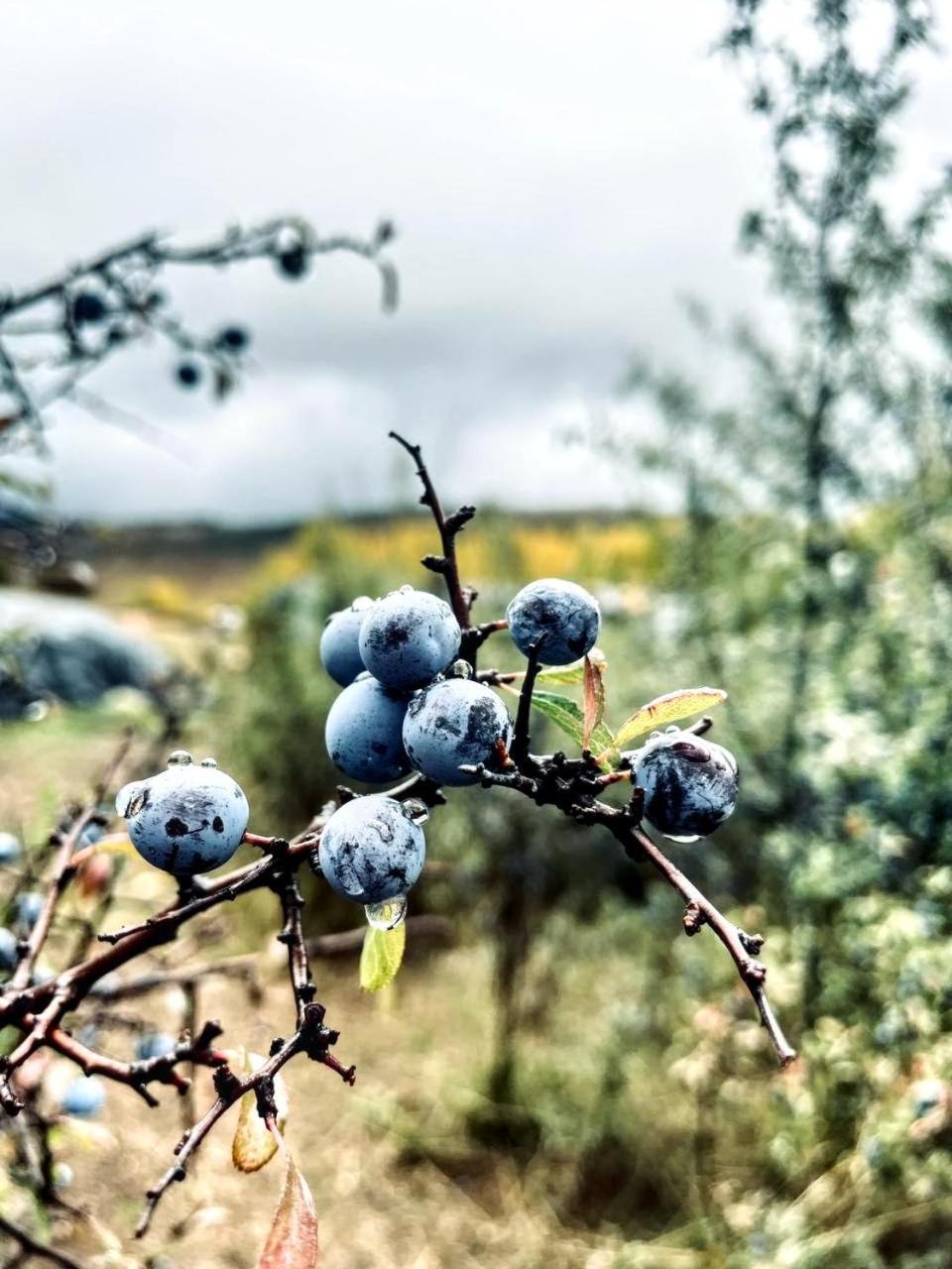 Alojamiento Rural Los Gancheros Tragacete Exteriér fotografie
