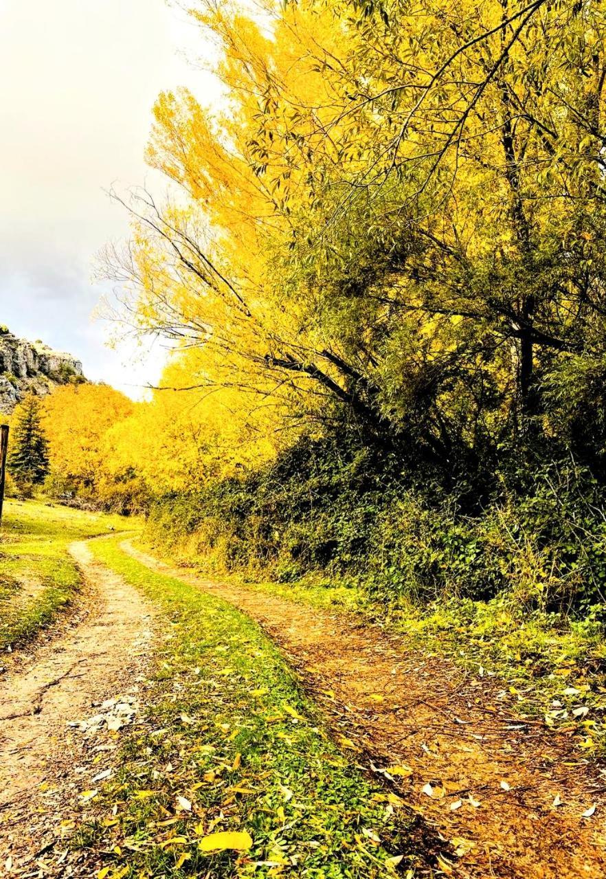 Alojamiento Rural Los Gancheros Tragacete Exteriér fotografie