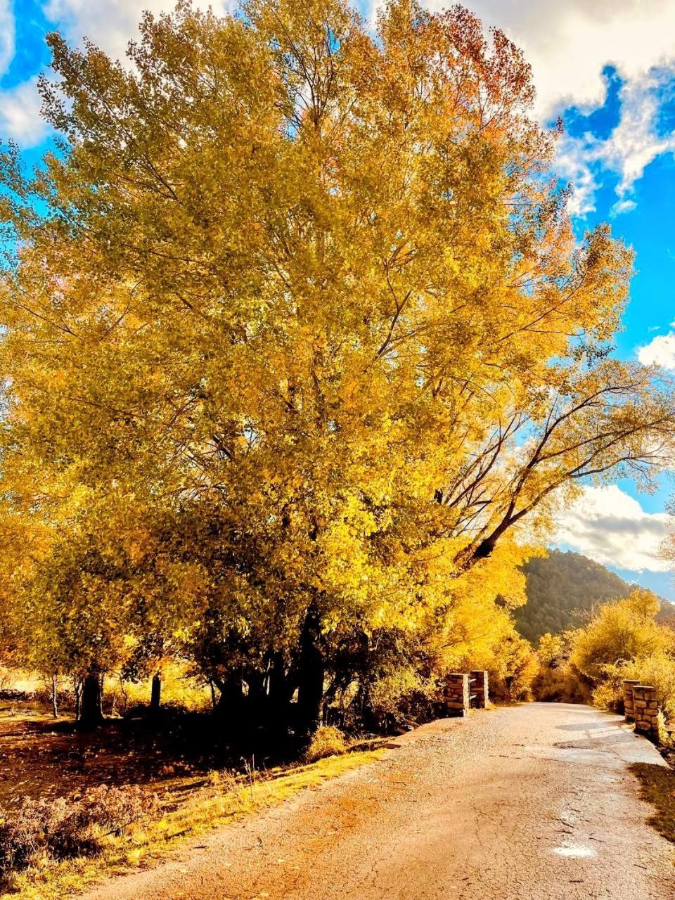 Alojamiento Rural Los Gancheros Tragacete Exteriér fotografie