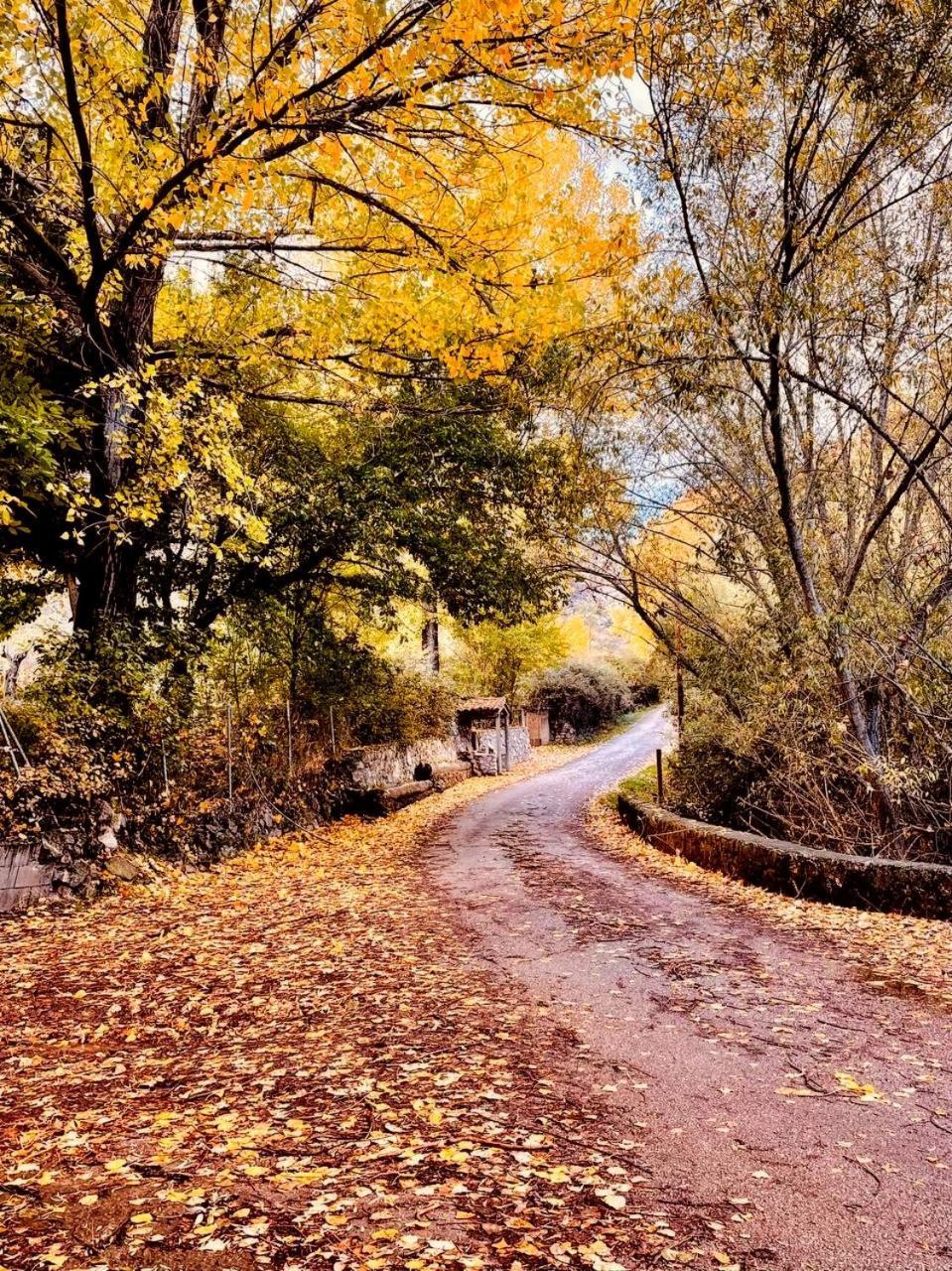 Alojamiento Rural Los Gancheros Tragacete Exteriér fotografie